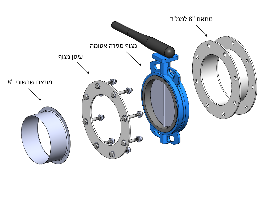 סדרת מתאמי מגוף זהר דיוק